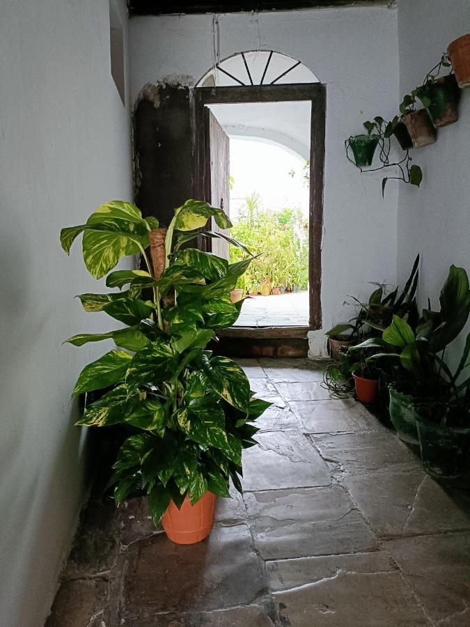 Apartamento Casa AMALFi, Coqueta casa Centro histórico de Vejer Vejer de la Frontera Exterior foto
