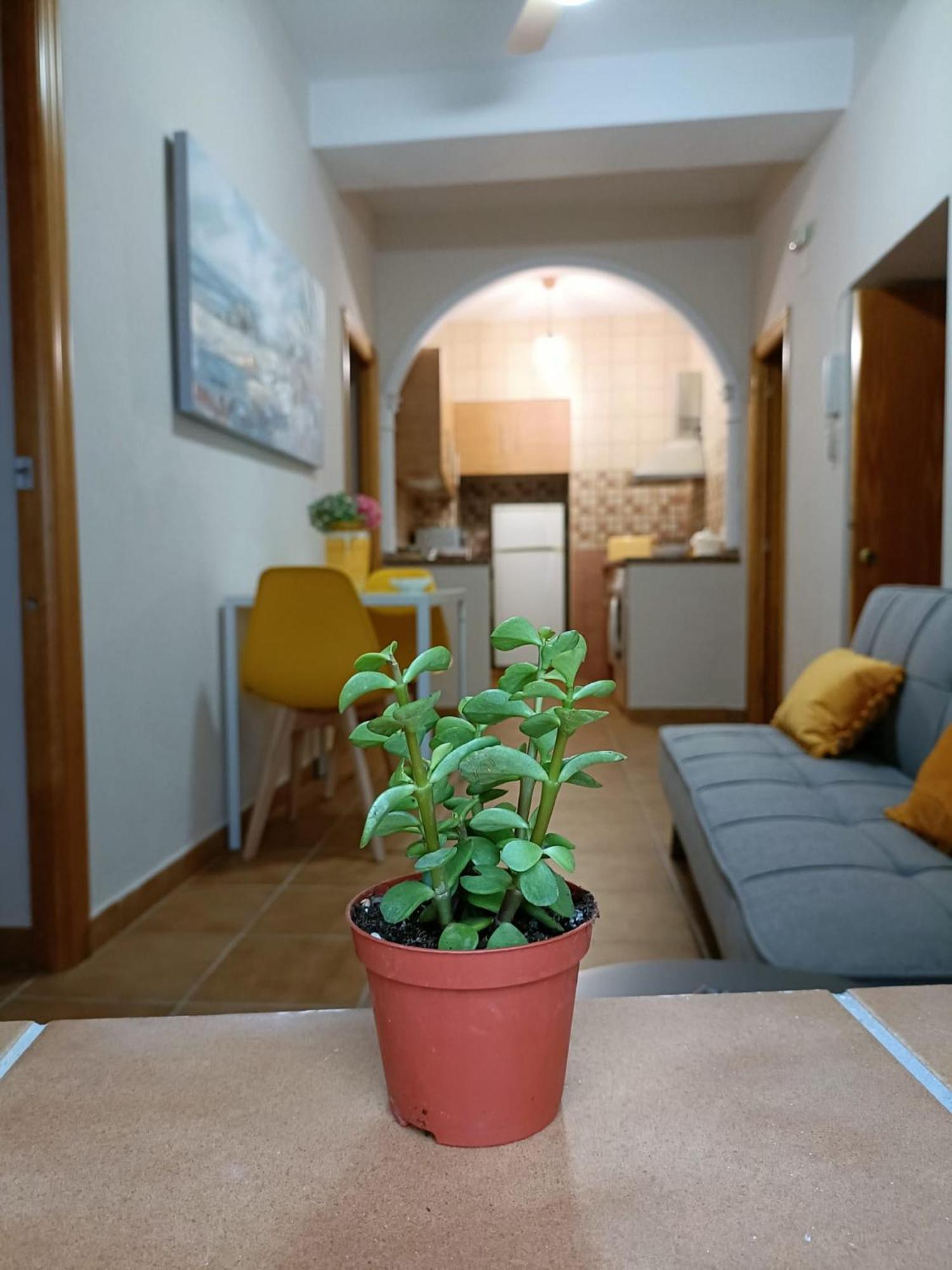 Apartamento Casa AMALFi, Coqueta casa Centro histórico de Vejer Vejer de la Frontera Exterior foto